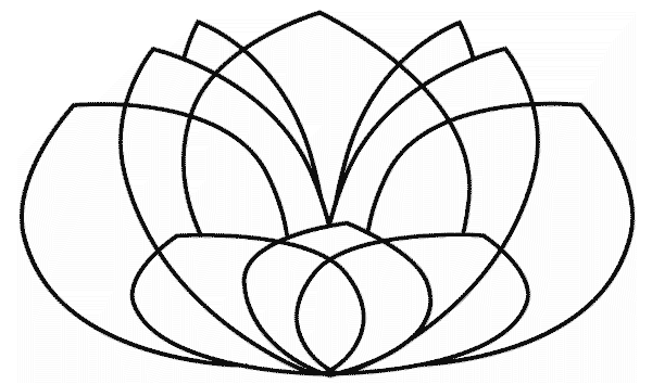 spabox lotus